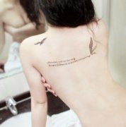 一款性感女性背部羽毛字母纹身图案由武汉纹身店推荐