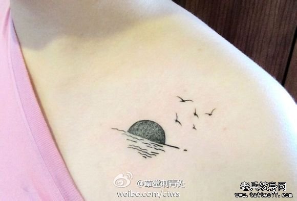 一款女性肩部海鸥纹身图案由武汉纹身网推荐