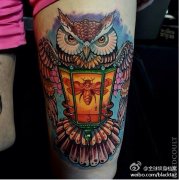 一款女性腿部彩色school猫头鹰纹身图案由纹身网推荐
