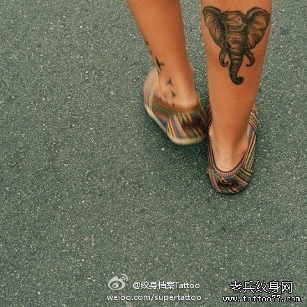 一款腿部象纹身图案由武汉纹身店推荐