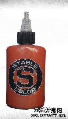 进口纹身色料 STABLE COLOR 纹身色料 纹身器材 褐色