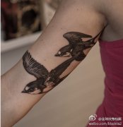 武汉最好的纹身店推荐一款手臂双飞燕纹身图案