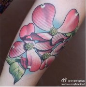 一款手臂彩色蝴蝶兰纹身图案由武汉刺青店推荐