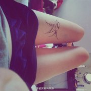 女性腿部黑白燕子纹身图案由武汉纹身店推荐