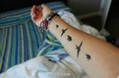 手臂小清新燕子纹身图案由武汉刺青店推荐