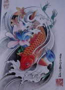 中华锦鲤纹身手稿（12）