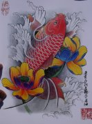 中华锦鲤纹身手稿（21）
