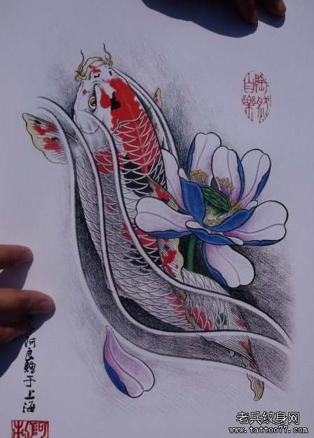 中华锦鲤纹身手稿（27）