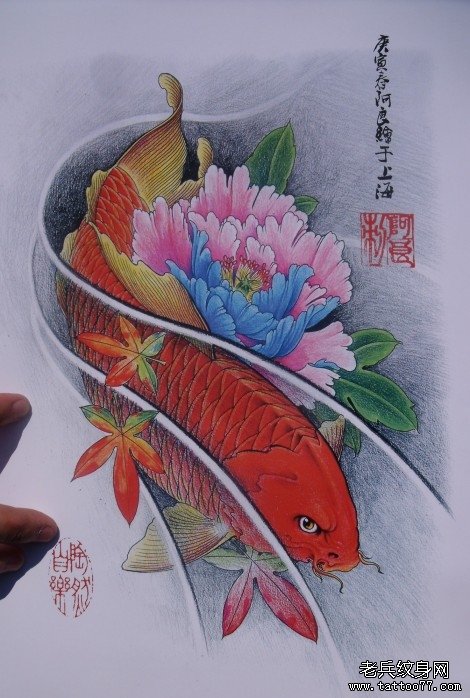 中华锦鲤纹身手稿（30）