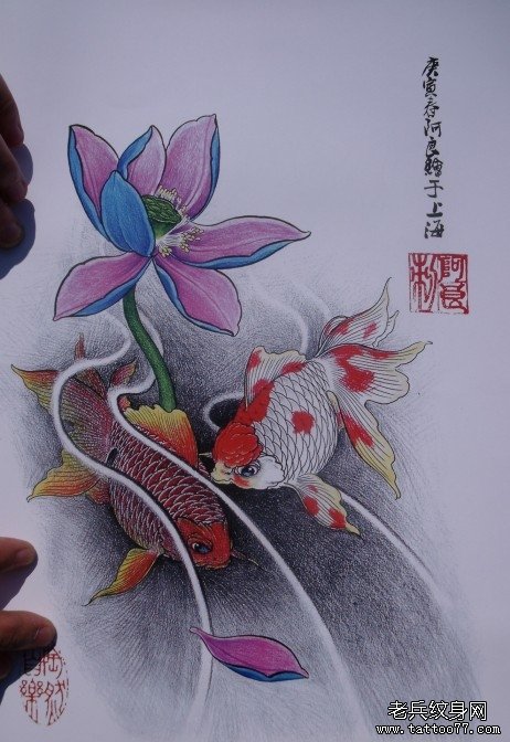 中华锦鲤纹身手稿（31）