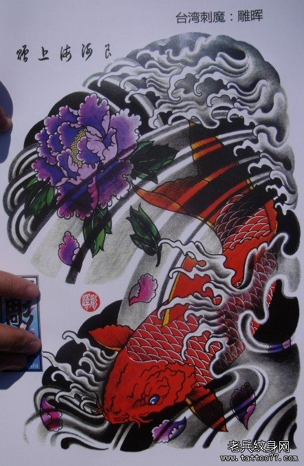 中华锦鲤纹身手稿（34）
