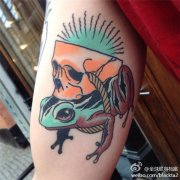 手臂school蛙纹身图案由武汉最好的纹身店推荐