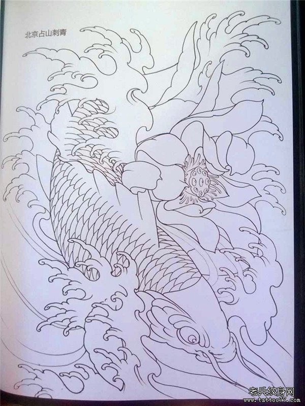 传统年鉴鱼纹身手稿（68）