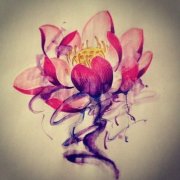 武汉纹身店推荐一款彩色莲花纹身手稿图案