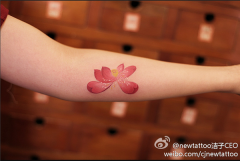 武汉最好的刺青店推荐一款手臂莲花纹身图案