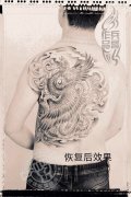 兵哥打造的后背凤凰纹身作品一个月后恢复效果