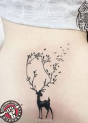 美女后腰小清新梅花鹿纹身作品