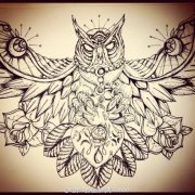 素描猫头鹰纹身手稿图案由武汉最好的刺青店推荐