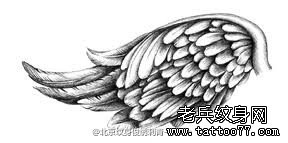 翅膀纹身手稿图案