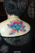 后背蓝莲花纹身作品遮盖旧纹身图案