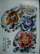 一款彩色老虎牡丹纹身手稿图案由武汉纹身店提供