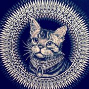 猫咪纹身手稿图案由武汉纹身馆提供