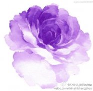 水彩风格玫瑰花纹身图片由武汉纹身馆提供