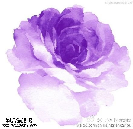 水彩玫瑰花纹身图片