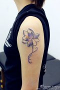 手臂彩色莲花纹身图案由武汉纹身店推荐