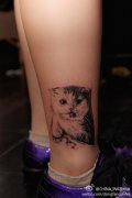 脚踝猫咪纹身图案由武汉最好的刺青店提供