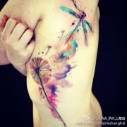 女性腰部彩色水墨蒲公英蜻蜓纹身图案
