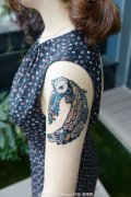 女性手臂彩色猫头鹰纹身图案