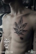 武汉纹身店提供一款胸口枫叶纹身图案
