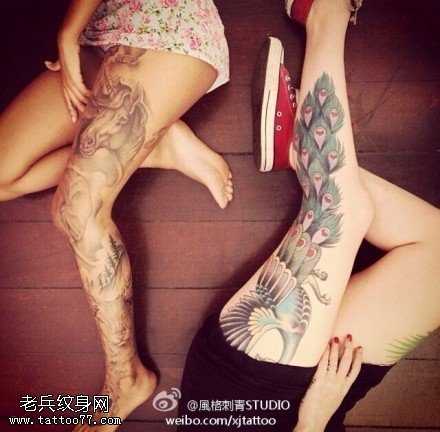 女性花腿马孔雀纹身图案