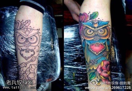 腿部彩色猫头鹰钥匙玫瑰花纹身图案
