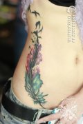 女性侧腰彩色羽化燕纹身图案