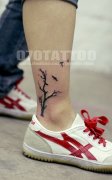 小清新脚部树图腾纹身图案