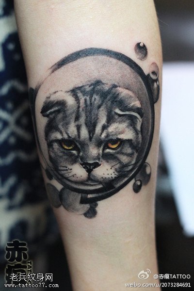 手臂猫咪纹身图案
