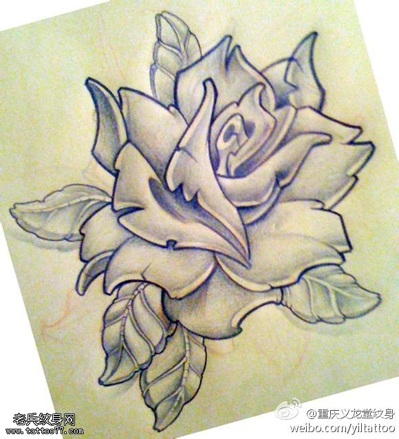 玫瑰花纹身线稿图案由武汉最好的纹身馆提供