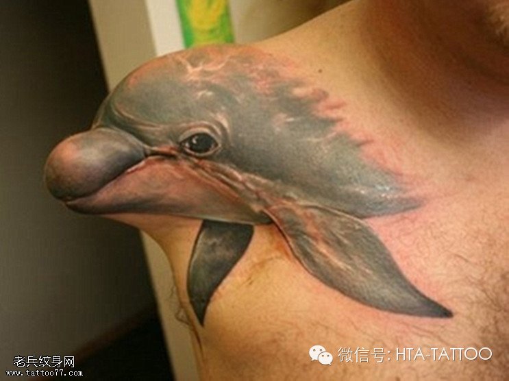 手臂海豚纹身