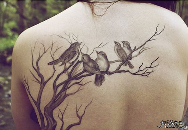 若给我一个机会，我要把纹身纹在锁骨上、背上、胸上、屁股上、腿上！树纹身图