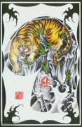 老兵纹身分享一款老虎半胛纹身图案