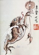 一款漂亮的金蟾纹身图案分享
