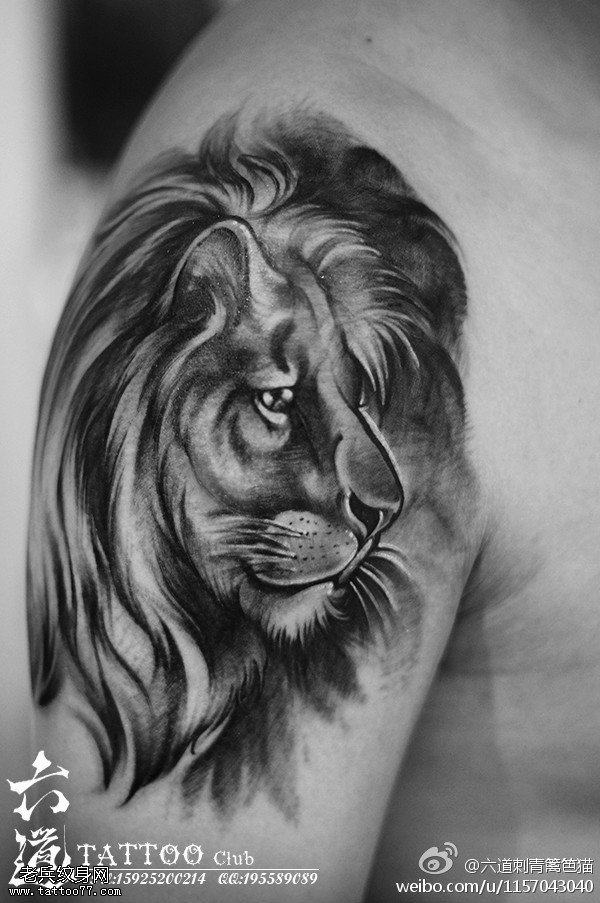 武汉纹身网狮子纹身图片