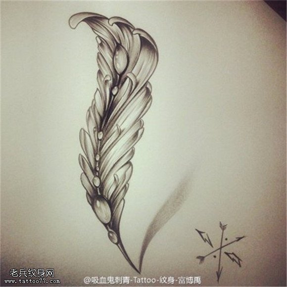 素描羽毛纹身手稿图片