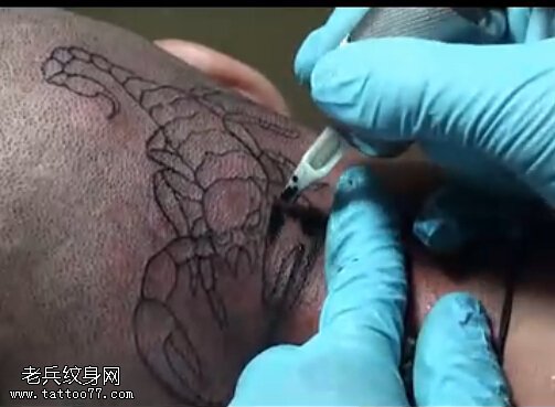 武汉老兵纹身店：头部蝎子纹身视频
