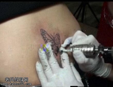MM蝴蝶纹身视频现场