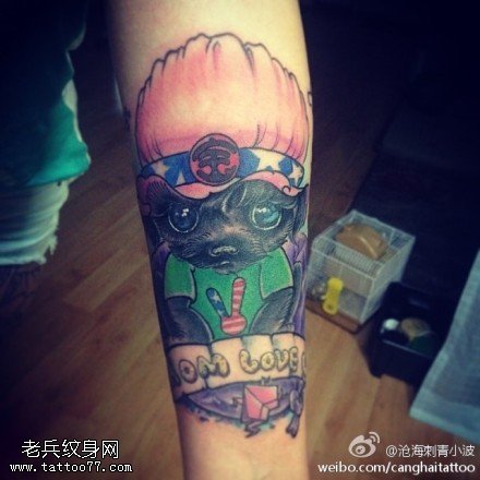 手臂彩色猫咪文身图片