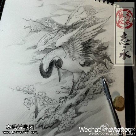 仙鹤梅花纹身手稿图片