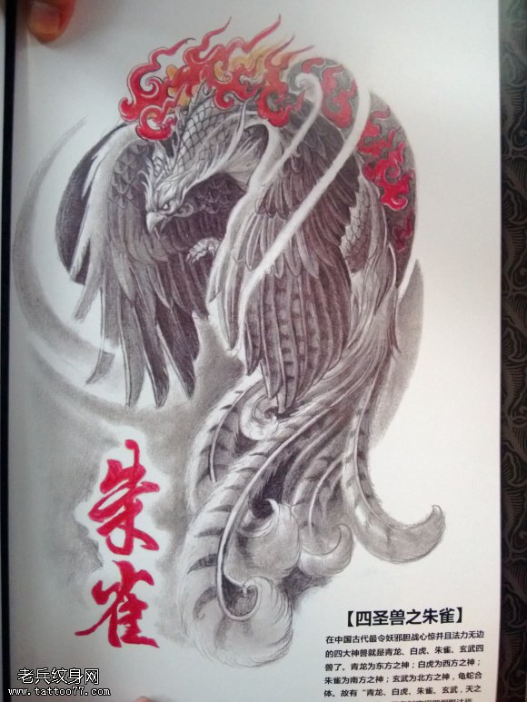 一款满背朱雀纹身图案